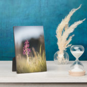 Wild Orchid Nature Foto Fotoplatte (Seite)