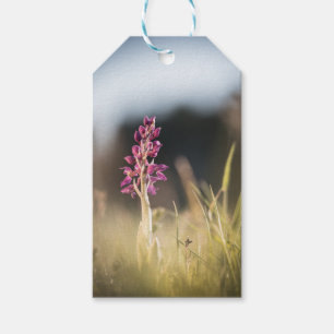 Wild Orchid Nature Foto Geschenkanhänger