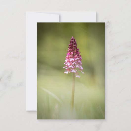 Wild Orchid Nature Foto Karte (Vorderseite)