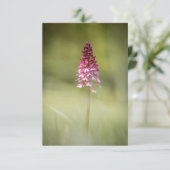 Wild Orchid Nature Foto Karte (Stehend Vorderseite)