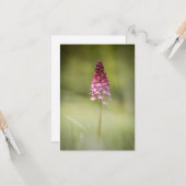 Wild Orchid Nature Foto Karte (Vorderseite/Rückseite Beispiel)