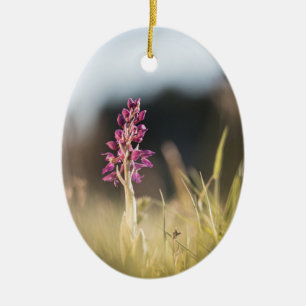 Wild Orchid Nature Foto Keramik Ornament
