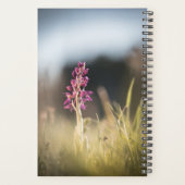 Wild Orchid Nature Foto Planer (Rückseite)