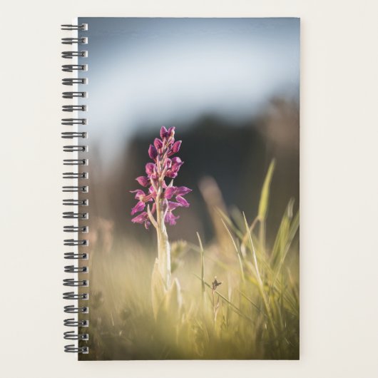 Wild Orchid Nature Foto Planer (Vorderseite)