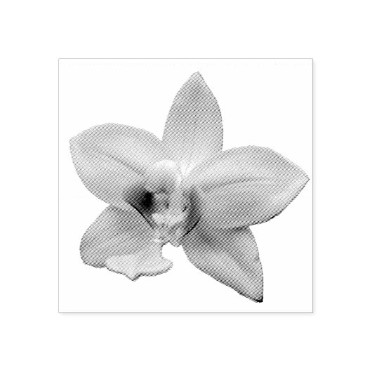 Wild Orchid Purple Tropical Flower Gummistempel (Prägung)