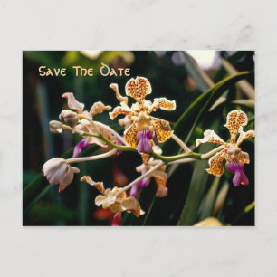 Wild Orchid Save the Date Postcard Ankündigungspostkarte