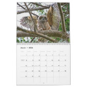Wild Owls Calendar Kalender (Mär 2026)