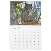 Wild Owls Calendar Kalender (Jan 2027)