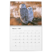 Wild Owls Calendar Kalender (Feb 2027)