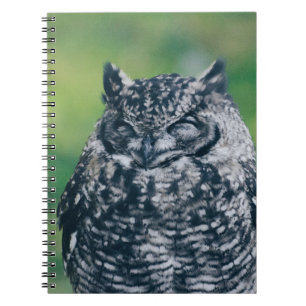 WILD OWW IN FRANZÖSISCHEN WALDEN NOTIZBLOCK