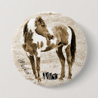 Wild Paint Horse Stallion Picasso Button