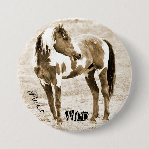 Wild Paint Horse Stallion Picasso Button