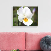 Wild Pansy Canvas Print Leinwanddruck (Insitu (Wohnzimmer))