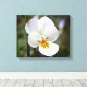 Wild Pansy Canvas Print Leinwanddruck (Insitu (Holzboden))