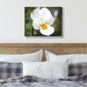 Wild Pansy Canvas Print Leinwanddruck (Insitu (Schlafzimmer))