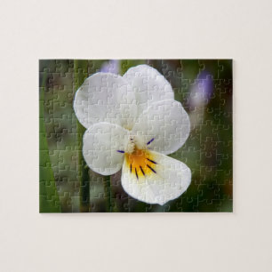 Wild Pansy Foto Puzzle mit Geschenkboxen