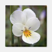 Wild Pansy Magnet (Vorne)