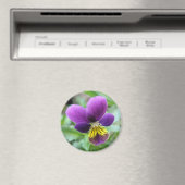 Wild Pansy Magnet (In Situ (Geschirrspüler))