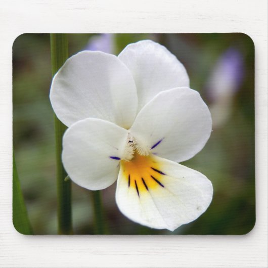 Wild Pansy Mouse Mat Mousepad (Vorne)