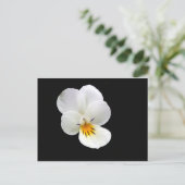 Wild Pansy Postcard Postkarte (Stehend Vorderseite)