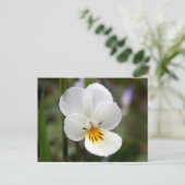 Wild Pansy Postcard Postkarte (Stehend Vorderseite)