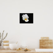 Wild Pansy Poster (Küche)