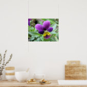 Wild Pansy Print Poster (Küche)