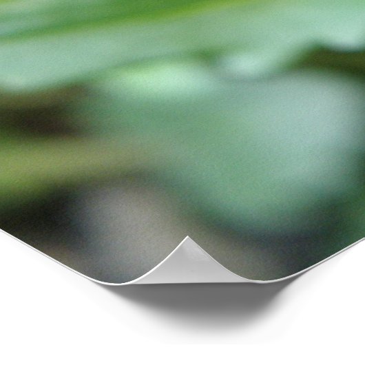 Wild Pansy Print Poster (Ecke)