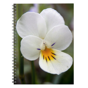 Wild Pansy Spiral Foto Notebook Notizblock