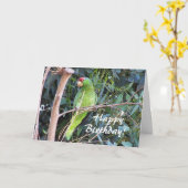 Wild Parrot Geburtstagskarte Karte (Gelbe Blume)