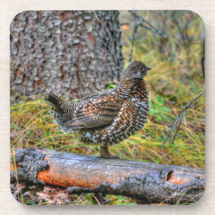 Wild Partridge & Forest Floor Game Bird Foto Untersetzer