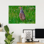 Wild Partridge Poster (Heimbüro)