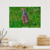 Wild Partridge Poster (Küche)