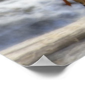 Wild Partridge Poster (Ecke)