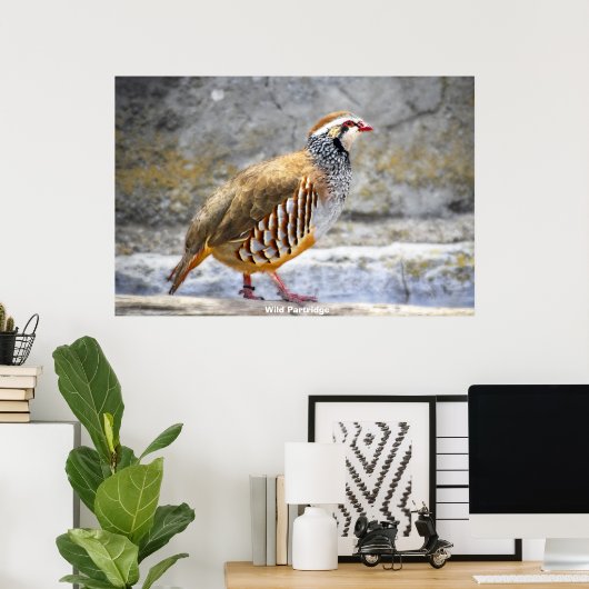 Wild Partridge Poster (Heimbüro)