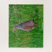 Wild Partridge Puzzle (Vertikal)