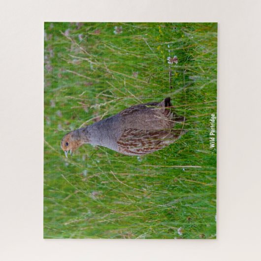 Wild Partridge Puzzle (Vertikal)