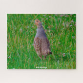Wild Partridge Puzzle (Horizontal)