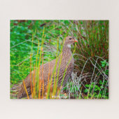 Wild Partridge Puzzle (Horizontal)