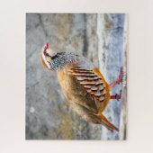 Wild Partridge Puzzle (Vertikal)