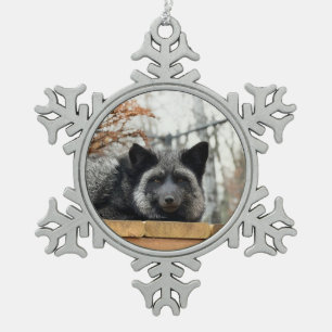 Wild Paws Aurora Schneeflocken-Rahmenornament Schneeflocken Zinn-Ornament