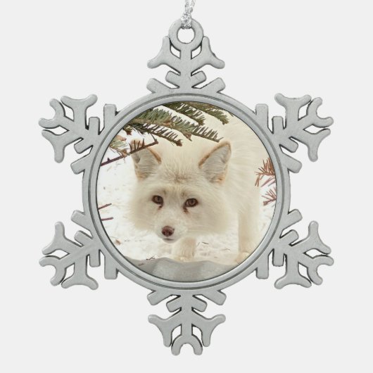 Wild Paws Coconut Snowflake Framed Ornament (Vorderseite)