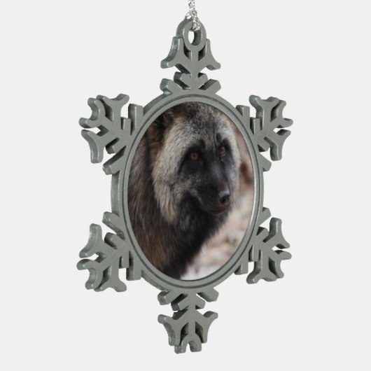 Wild Paws Midnight Snowflake Framed Ornament (Links)