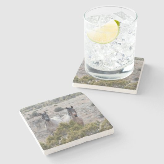 Wild Pferd Mutter und Sohn Steinuntersetzer (Seitenansicht)