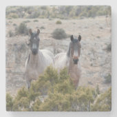 Wild Pferd Mutter und Sohn Steinuntersetzer (Vorderseite)