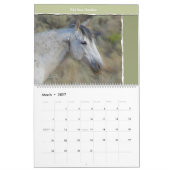 Wild Pferd Portrait, großer Kalender (Mär 2027)