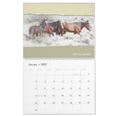 Wild Pferd Portrait, großer Kalender (Jan 2027)
