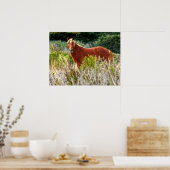 Wild Pferd Staredown Poster (Küche)