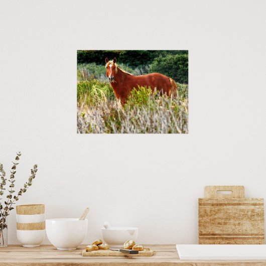 Wild Pferd Staredown Poster (Küche)