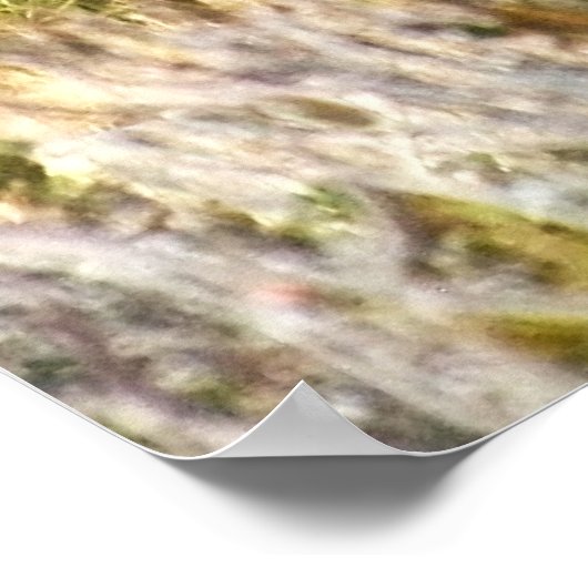 Wild Pferd Staredown Poster (Ecke)